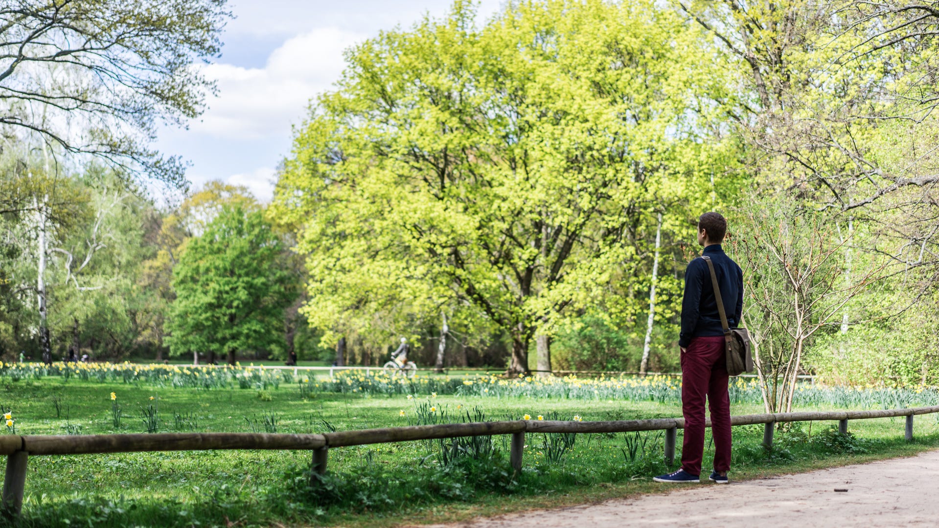 A man looking into a field in Tiergarten in Berlin.